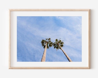 Photo de palmier, impression de photographie, art mural plage, décoration tropicale, impression côtière, photo californienne, art de la plage de Newport, art du palmier