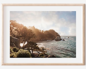 Foto di Point Lobos, stampa di Monterey, stampe artistiche di alberi, stampe costiere, arte murale oceanica, arte di paesaggi marini, arte della California settentrionale, arte costiera oceanica