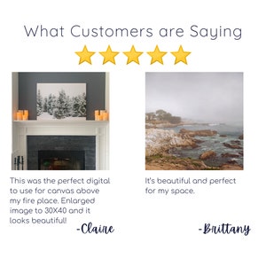 Customer reviews