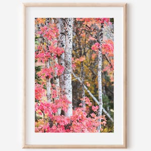 Autumn Aspen Tree, Digital Download, Tree Art, Fall Leaves, Printable Art, Fall Home Decor, Fall Trees, Tree Trunk Print, Autumn Leaves