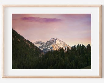 Mountain Photography, Mt. Timpanogos, Utah Prints, Pine Tree Wall Art, Sunset Photos, Nature Photography, Landscape Print, Home Decor