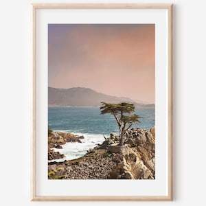 Lone Cypress Tree, Digital Download, California Photo, 17 Mile Drive Monterey, Cypress Tree Art, Coastal Shelf Décor, Ocean Digital Art