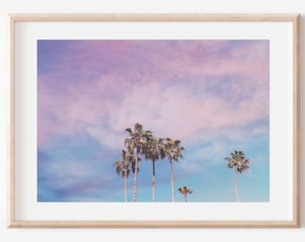 San Diego Palm Tree Photography Print | Print or Canvas | Beachy Coastal Wall Art