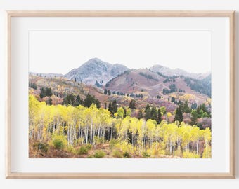 Fall Aspen Tree Photo Digital Download | Yellow & Green Foliage Art | Mountain Photography