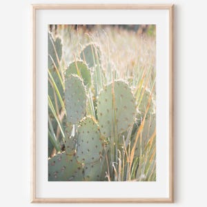 Feigenkaktus, Fotografie Drucke, Wüste Wandkunst, Kaktus Fotografie, Arizona Kunst, Wüstendekor, Kaktus-Dekor, Wüste Kunstdrucke