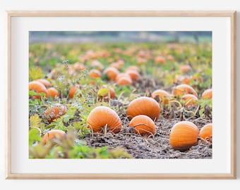 Impresión fotográfica de calabazas, descarga digital / Decoración otoñal para el hogar