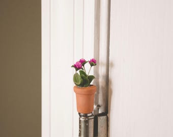 Miniature Wild Clover in Terracotta Pot Hinge Topper