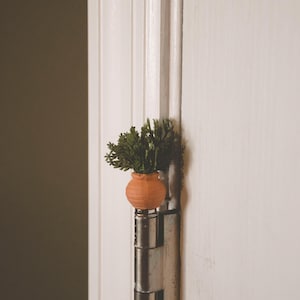 May include: A small terracotta pot with green plants growing out of it is attached to a silver door hinge.