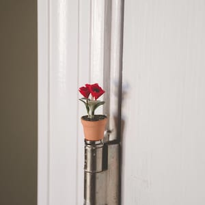 Miniature Potted Poppies Magnetic Hinge Topper