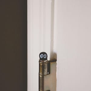 May include: A close-up of a door hinge with a small black object with two white eyes attached to the top. The hinge is made of metal and has a brushed finish.