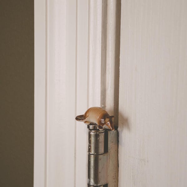 VINTAGE miniature Armadillo Hinge Topper