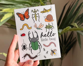 Hello Little Bug (blank) New Baby Congrats Greeting Card
