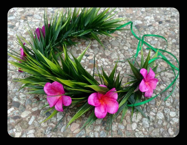 Couronne de fleurs de Moana écran précis image 2