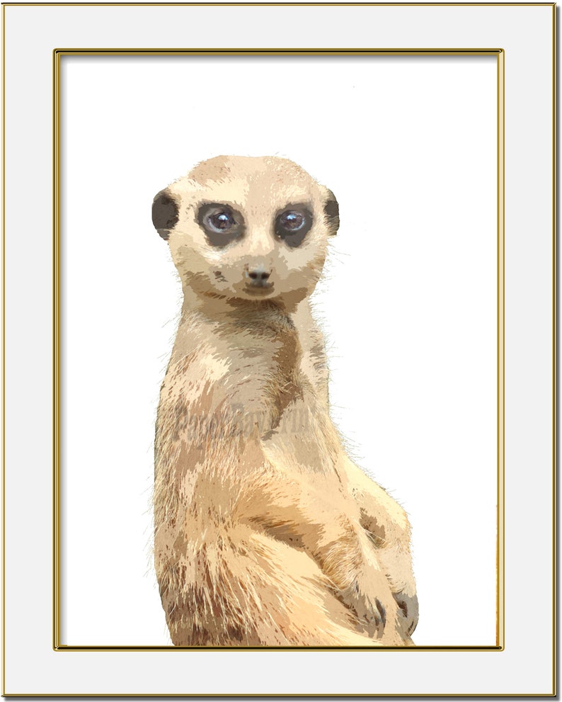 Meerkat Printable Picture Meerkat Printable Image Printable | Etsy
