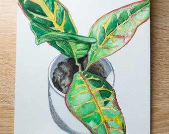 Original Watercolor Series - In My Garden: Houseplant (7x11in)