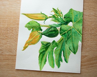 Original Watercolor Series - In My Garden: Squash (9.5x6.5in)