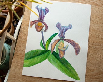 Original Watercolor Series - In My Garden: Deux Orchidées (6.5x8.5in)