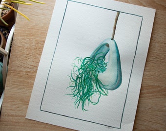 Original Watercolor Series - In My Garden: Air Plant 2 (12x9in)
