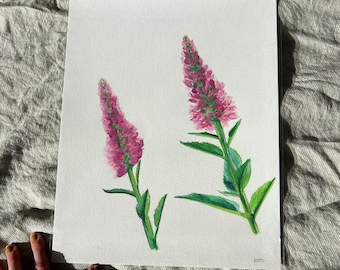 隣人の背の高いピンクの花（水彩と色鉛筆、11 x 14インチ）