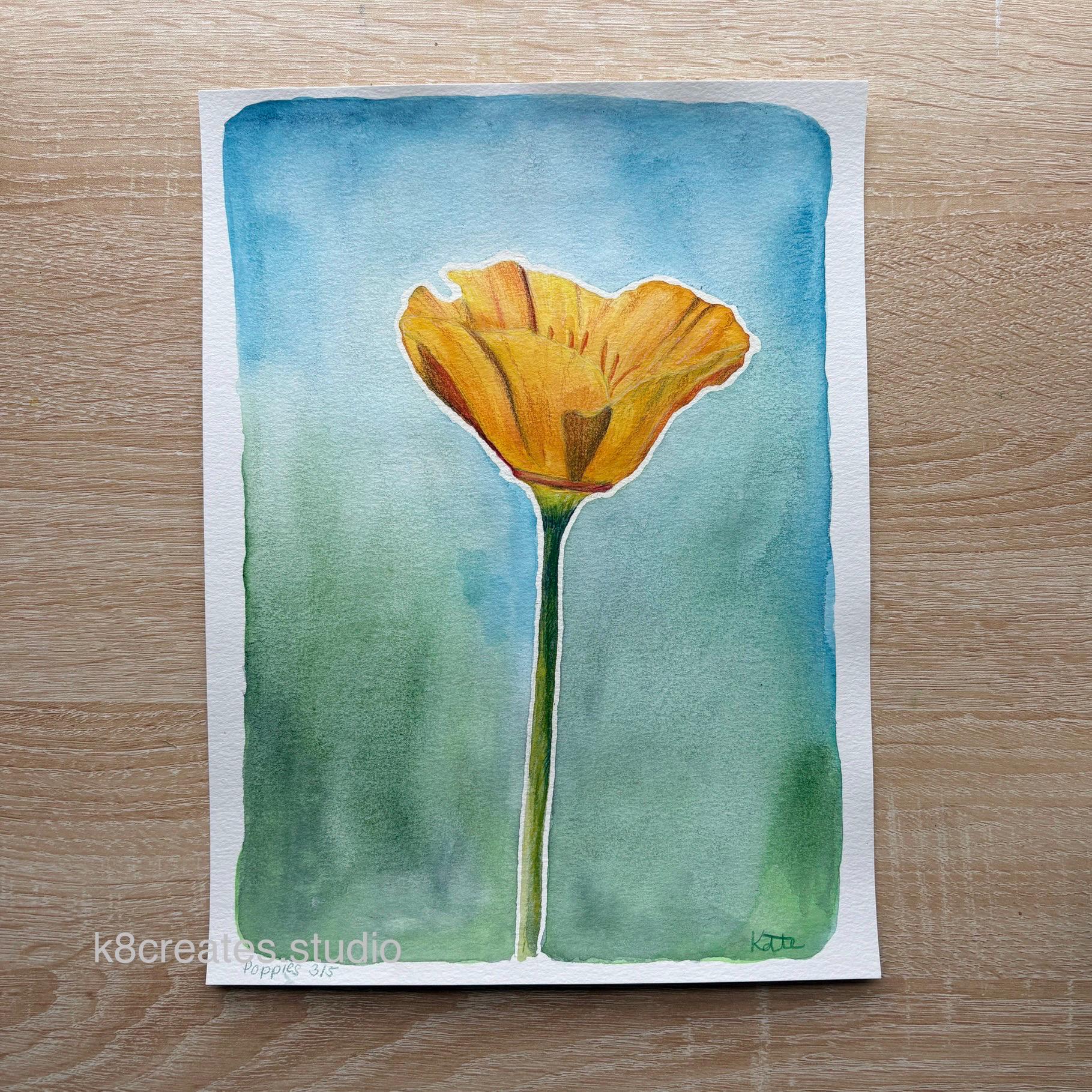Poppy #3 (watercolor and colored pencil, 9 x 12 in)