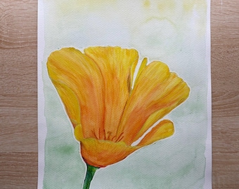 Poppy #4 (watercolor and colored pencil, 11 x 14 in)