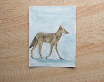 July 15th: Coyote (watercolor, 4.5x6in)