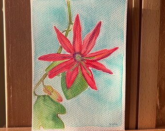 Passion Flower Turquoise (watercolor and colored pencil, 5 x 7in)