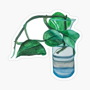 Puede incluir: Una pintura de acuarela de una planta verde con hojas que crecen en un jarrón de vidrio transparente lleno de agua.