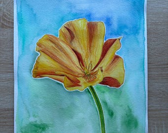 Poppy #5 (watercolor and colored pencil, 11 x 14 in)