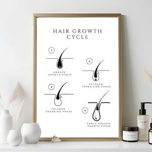 Haargroeicyclusfasen. Kunst aan de muur voor ontharing. Schoonheidsspecialiste cadeau. Dermatologie afdrukken. Medische esthetiek. Laserontharing. Wax Studio Art