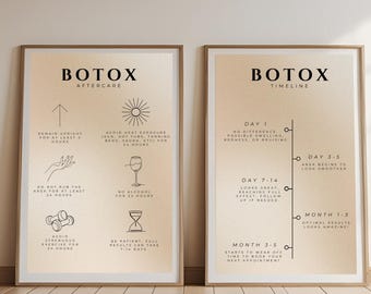 Set of 2 | Fillers and Botox Wall Art | Aftercare & Journey | Med Spa Decor | Beauty Injector Decor | Botox Technician Poster |Dermal Filler