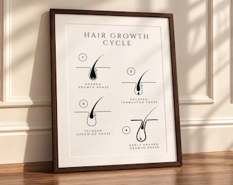 May include: A framed educational print titled HAIR GROWTH CYCLE in black text on a white background. It features four numbered diagrams illustrating hair follicles in different stages: Anagen, Catagen, Telogen, and Early Anagen growth phases.