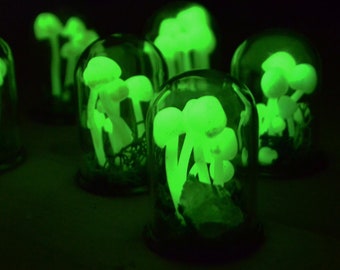 ŚWIECĄCE  w ciemności grzybki,  magiczny naszyjnik terrarium