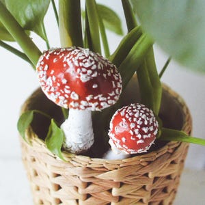 May include: Two red and white mushrooms with white stems are in a woven wicker basket with green leafy plants.