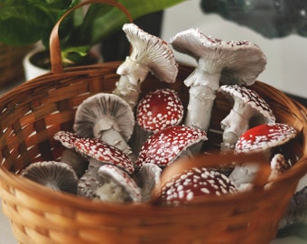 Set of 3 Miniature Polymer Mushroom Toadstool Autumn Decoration Plant Terrarium