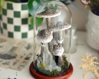 Forest Terrarium with Mushrooms and Clear Quartz – Handmade Witchy Home Decor under Glass Dome, Cottagecore Gift, Crystal Mushroom Art