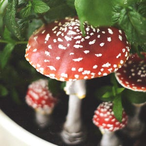 Handgemaakte kleipaddestoel paddestoelpluk, terrariumtuindecor 15 cm