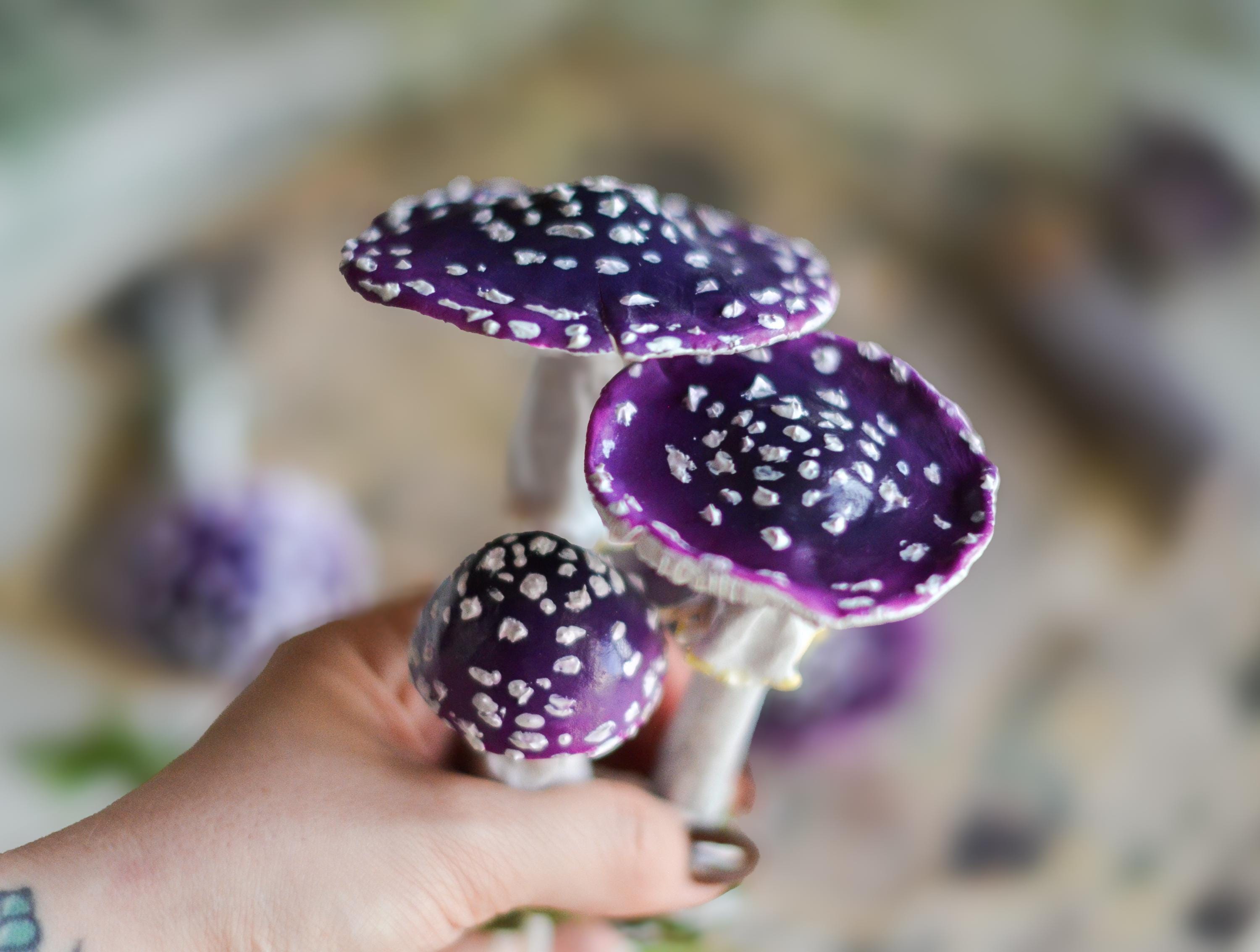 Artificial, Fantastic, Purple Mushrooms, Pieces, Terrarium or
