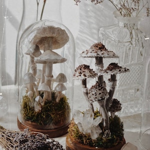 Terrarium z Kaniami - dekoracja Las W Domu pod szklanym kloszem z kryształem górskim
