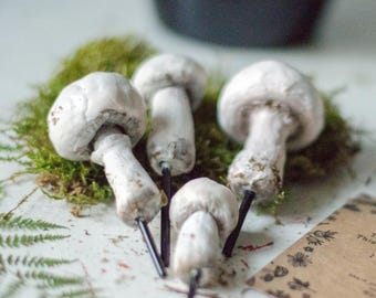 Set of 4 mix pieces of white mushrooms champignon- decoration for terrarium plants, realistic mushrooms, halloween decoration