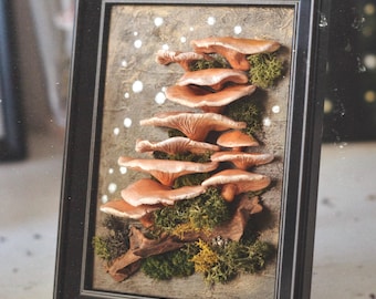 Mushrooms framed 3D witches Wall Art, vintage home wall decor
