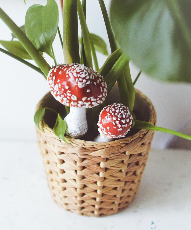May include: Two red and white mushrooms with white stems are in a woven wicker basket with green leafy plants.