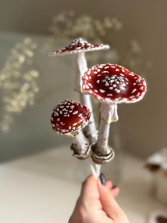 6 Mini Pilz Figuren - Deko Für Sukkulenten, Feengarten & Micro Landscape