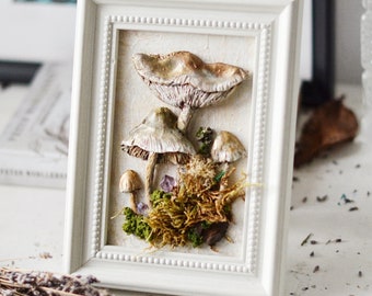 Mushrooms framed, Psilocybin mushrooms 3D witches Wall Art, vintage home wall decor