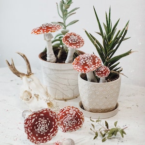 Miniature Polymer Mushroom Toadstool Autumn Decoration Plant Terrarium