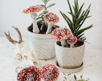 Miniature Polymer Mushroom Toadstool Autumn Decoration Plant Terrarium