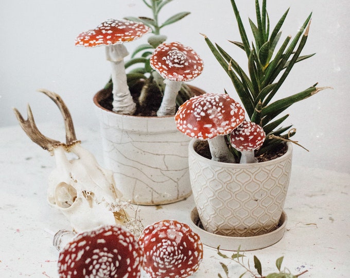 Miniature Polymer Mushroom Toadstool Autumn Decoration Plant Terrarium