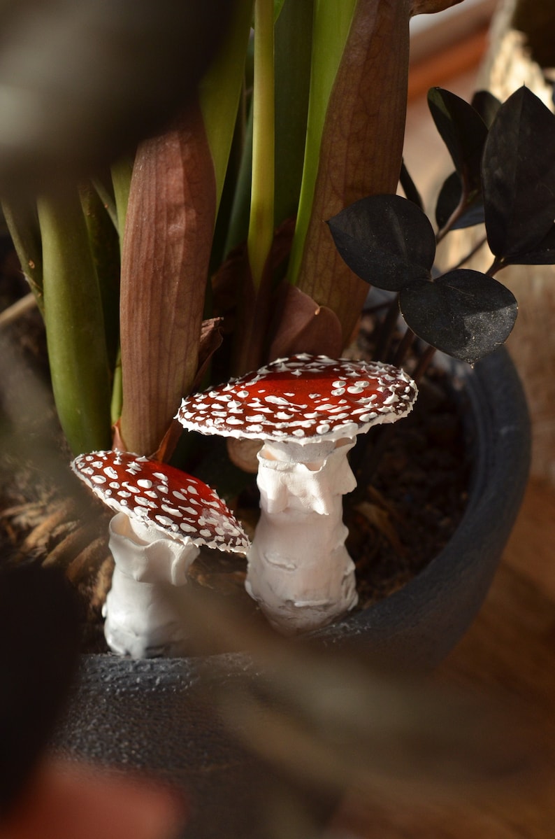 May include: Two white ceramic mushrooms with red and white spotted caps. The mushrooms are sitting in a black pot with green and brown plants.