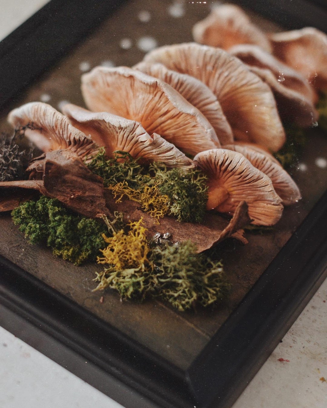 Mushrooms Framed 3D Witches Wall Art, Vintage Home Wall Decor - Etsy