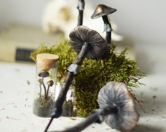 Set of 4 mix pieces of black mushrooms - decoration for terrarium plants, realistic mushrooms, halloween decoration